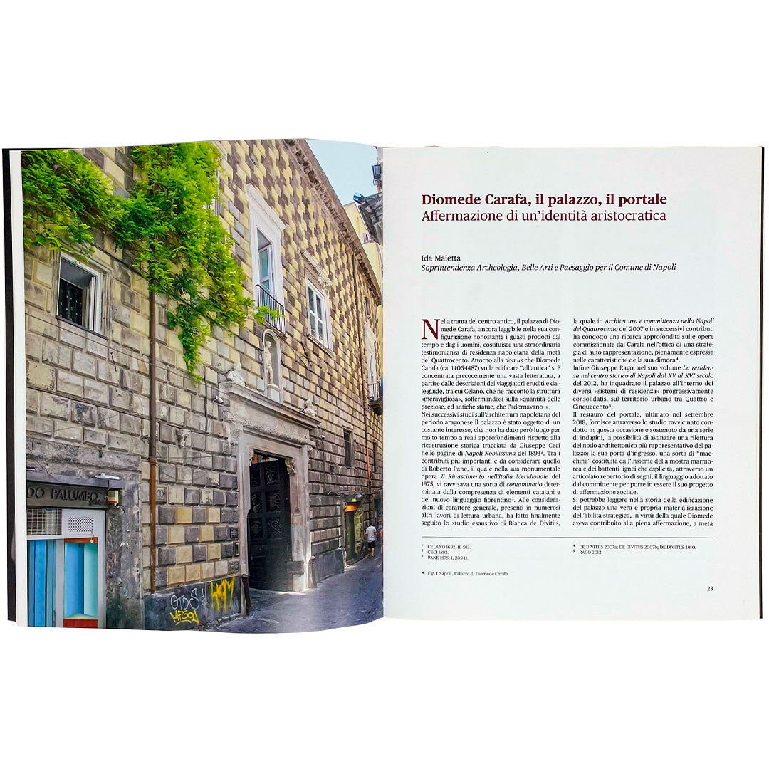 Il Portale e i Battenti del Palazzo Diomede Carafa in Napoli