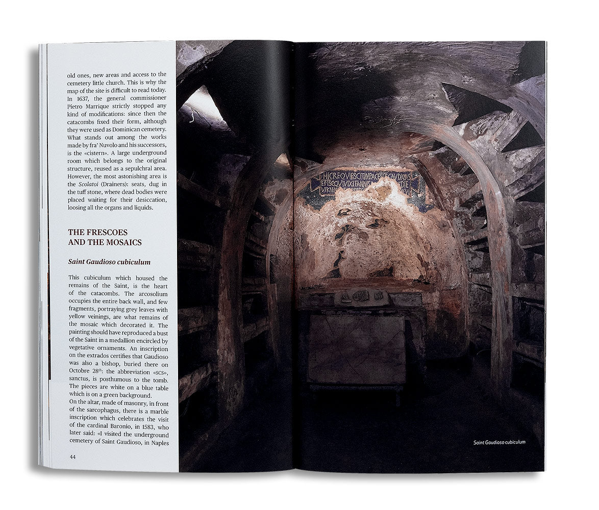 The Basilica of Santa Maria della Sanità and the Catacombs of san Gaudioso. Historical and artistic guide