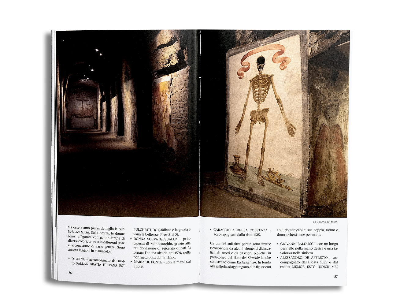 Basilica di Santa Maria della Sanità e Catacombe di San Gaudioso. Guida storico-artistica